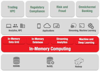 In-Memory Computing Layer