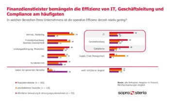 Wo finden sich die Problemfelder der Effizienz? <q>Sopra Steria