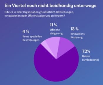 Entweder Effizienz steigern oder Innovation fördern? Nein, beides zusammen bringt die größten Fortschritte bei der Zukunftsfähigkeit, so Bearingpoint: Ambidextrie